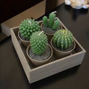 Succulent decor candles